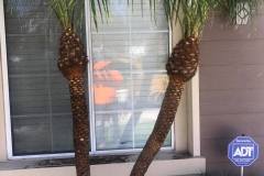 50